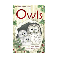Owls