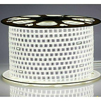 Led cuộn 2835 100m 2 đường bóng ngang