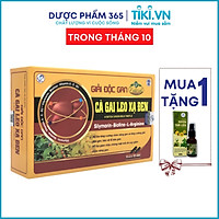 Cà Gai Leo Xạ Đen - Viên Uống Bổ Gan, Giải Độc Gan, Tăng Cường Chức Năng Gan (Hộp 60 Viên)
