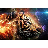 Bimkole 5D Diamond Painting Tiger & Wolf Full Drill DIY Rhinestone Pasted with Diamond Set Arts Craft Decorations (12x16inch)