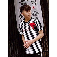 áo thun dạng sọc có họa tiết hình chim