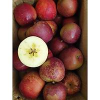 Táo Đá Giòn Ngọt 1 Kg