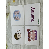 Flashcards Tiếng Anh Show and Tell 1 -Kích thước A5- ép plastics bền đẹp