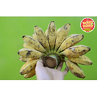 Chuối Sáp - 1kg