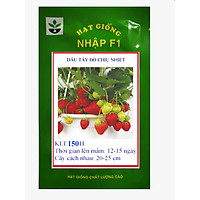 Gói 150 hạt giống dâu tây đỏ chịu nhiệt