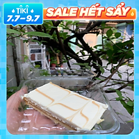 Bánh Cheese Caramel Size S
