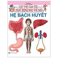 Cơ Thể Của Tôi Hoạt Động Như Thế Nào – Hệ Bạch Huyết