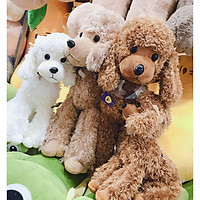 Gấu bông chó poodle lông xù 3 màu dễ thương nâu kem trắng kích thước 35-50-60cm