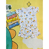 Bộ Bò Sữa- Bộ Thun Lạnh Minky Mom Bé Trai Bé Gái