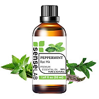 Tinh dầu Bạc Hà Cao Cấp SENSELAB 50ML - Tinh dầu thiên nhiên nguyên chất nhập khẩu Ấn Độ - Dùng tinh dầu xông phòng giúp khử mùi, thanh lọc không khí, thư giãn, kháng khuẩn, giải cảm, xua đuổi côn trùng, chăm sóc răng miệng