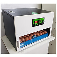 Máy ấp trứng mini 70 trứng - Đảo lăn tự động 360 độ