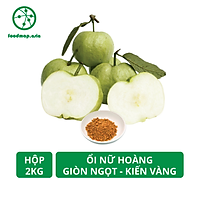 Ổi Nữ Hoàng Kiến Vàng Giòn Ngọt, Giàu VitaminC - Hộp 2kg - Foodmap