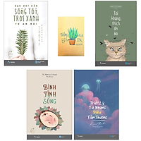 Combo Sách Chữa Lành Cho Cuộc Sống Thêm Rực Rỡ : Bạn Chỉ Cần Sống Tốt, Trời Xanh Tự An Bài và Tôi Không Thích Ồn Ào &Triết Lý Từ Những Điều Tầm Thường and Bình Tĩnh Sống ( 4 Cuốn )