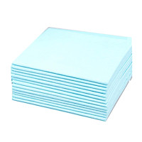 Miếng lót vệ sinh cho thú cưng bộ 10 miếng