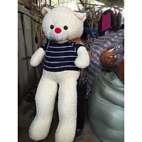 Gấu bông thú nhồi bông Teddy đủ 1m6 nhiều màu siêu to khổng lồ kèm quà tặng đáng yêu