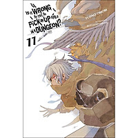 Is It Wrong to Try to Pick Up Girls in a Dungeon?, Volume 11 (Light Novel) (Illustration by Suzuhito Yasuda)