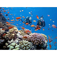 Tour 3 đảo Deluxe Nha Trang bao gồm cano và ăn trưa, vé tham quan