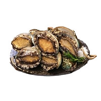 Bào Ngư Đông Lạnh 10 - 12 con - 1Kg