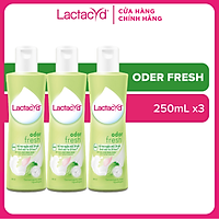 Bộ 3 chai DDVS Lactacyd Odor Fresh NGĂN MÙI 24H 250ml/chai