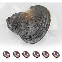 Pearl Mussel Ellipse Pearl Oysters Mysterious 6-8mm 6pcs Children Accessories Pleasantly Surprised