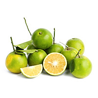CAM XOÀN