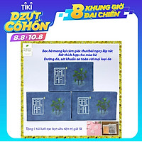 Xà Bông Sinh Dược Bạc Hà Sạch Khuẩn, Tạo Cảm Giác Tươi Mát
