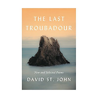 The Last Troubadour