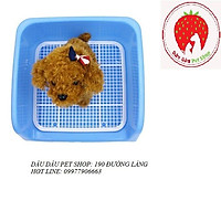 KHAY VỆ SINH CHO CHÓ HÌNH GHẾ NGỒI