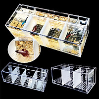 Khung bằng chất liệu acrylic trong suốt dùng trang trí hồ cá
