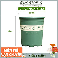 Chậu nhựa trồng cây MONROVIA 5 GL, chậu trồng cây, chậu cây cảnh mini, để bàn, treo ban công, treo tường, cao cấp, chính hãng thương hiệu MONROVIA