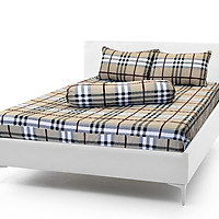 Bộ Drap Cotton THẮNG LỢI - 4 món {chuẩn logo cty}