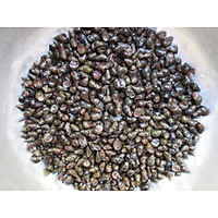 Ốc vặn 500gr