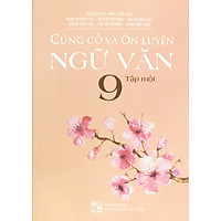 Củng cố và ôn luyện Ngữ văn 9 tập 1