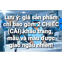 Quà tặng ngẫu nhiên 2 cái khẩu trang y tế thương hiệu ngẫu nhiên hàng công ty có logo