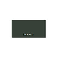 Sơn nước ngoại thất siêu cao cấp Dulux Weathershield PowerFlexx (Bề mặt bóng) Black Swan