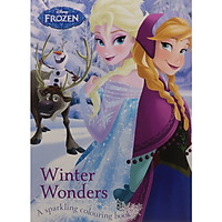 Disney Frozen Winter Wonders A Sparkling Colouring Book