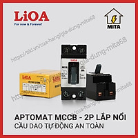 Cầu dao tự động an toàn (APTOMAT) LIOA 2 cực 1 tiếp điểm 10A đến 30A - LIOA MCCB2P1E + Hộp Aptomat lioa SEMCCBN
