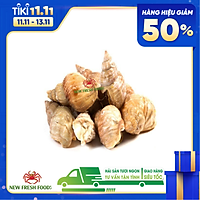 Ốc Bullot - 1Kg