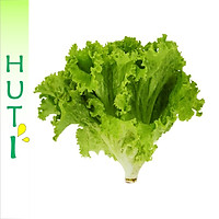RAU XÀ LÁCH LÔ LÔ XANH - 300 GRAM - HUTI