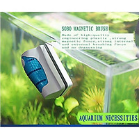 NAM CHÂM CỌ BỂ - VỆ SINH HỒ CÁ THUỶ SINH