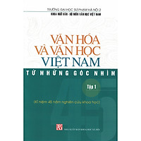 Văn Hóa Và Văn Học Việt Nam Từ Những Góc Nhìn (Tập 1)