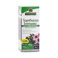 Nature's Answer Alcohol-Free Sambucus Immune Support, 8 Fluid Ounce - Made from 12,000 mg Black Elderberry, Infused with Echinacea and Astragalus Zinc and Vitamin C