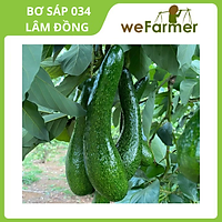 Bơ Sáp 034 - 1kg