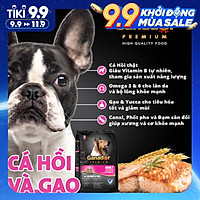 Combo 5 thức ăn cho chó trưởng thành Ganador vị cá hồi & gạo Salmon & Rice 400 gram