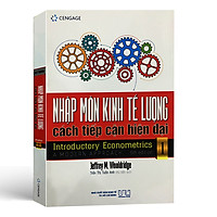 Nhập Môn Kinh Tế Lượng Cách Tiếp Cận Hiện Đại - Introductory Econometrics A Modern Appoach