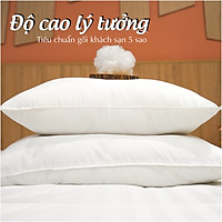 Ruột gối khách sạn giả lông vũ CHUMY (Bông Microfiber 0.7D cao cấp, kích thước 50x70cm, trọng lượng 1.2kg)