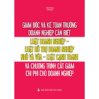 Giám đốc và kế toán trường doanh nghiệp cần biết – Luật doanh nghiệp – Luật hỗ trợ doanh