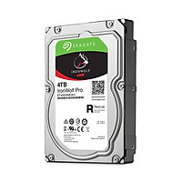 Ổ Cứng HDD NAS Storage Seagate IronWolf Pro 4TB/256MB/3.5 7200RPM - ST4000NE001 - Hàng Chính Hãng