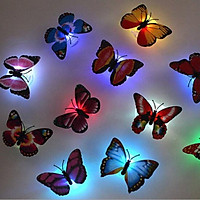Đèn ngủ bướm phát sáng trang trí tường