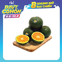 Cam Kiến Vàng Vĩnh Long - Vắt Nước (7-8 quả/kg) - Đặc Sản Ngon Lành - Foodmap